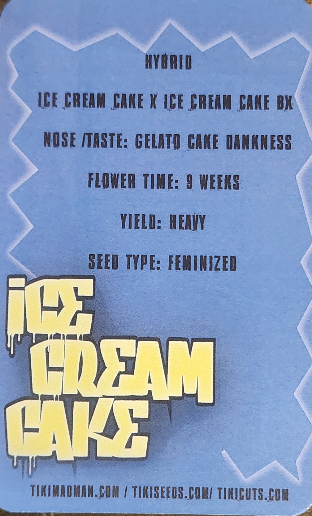 Ice Cream Cake (ICC x ICC Bx1) Fem 6 seeds