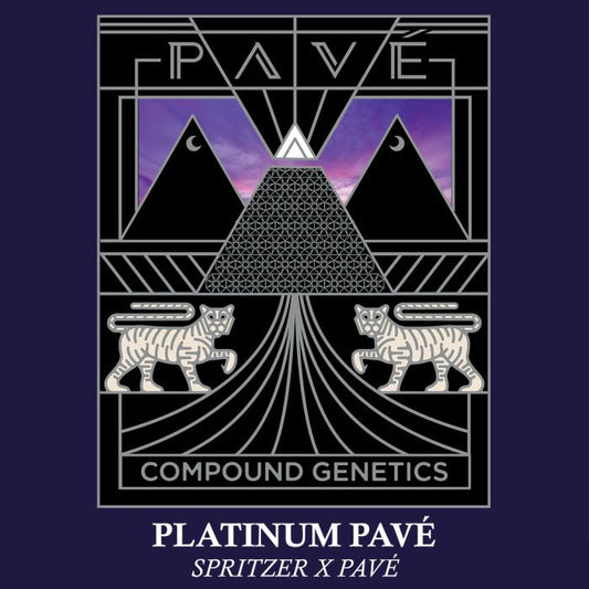 Platinum Pavé 7+1
