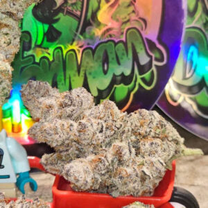 Garlic dip (Garlic smoothie #8 X Truffle Treats) 10 seeds