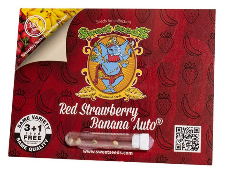 Red Strawberry Banana AUTO (Strawberry Banana x Red Poison Auto) 5(+2) seeds