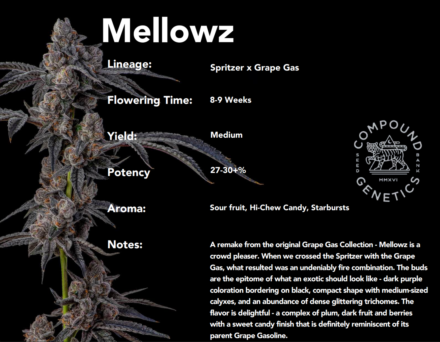 Mellowz (Spritzer x Grape Gas) 7-Pack