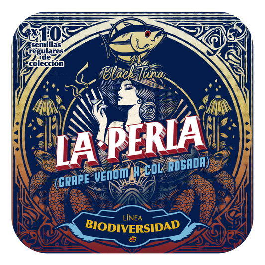La Perla (Grape Venom x Col Rosada) 10-Pack Regular