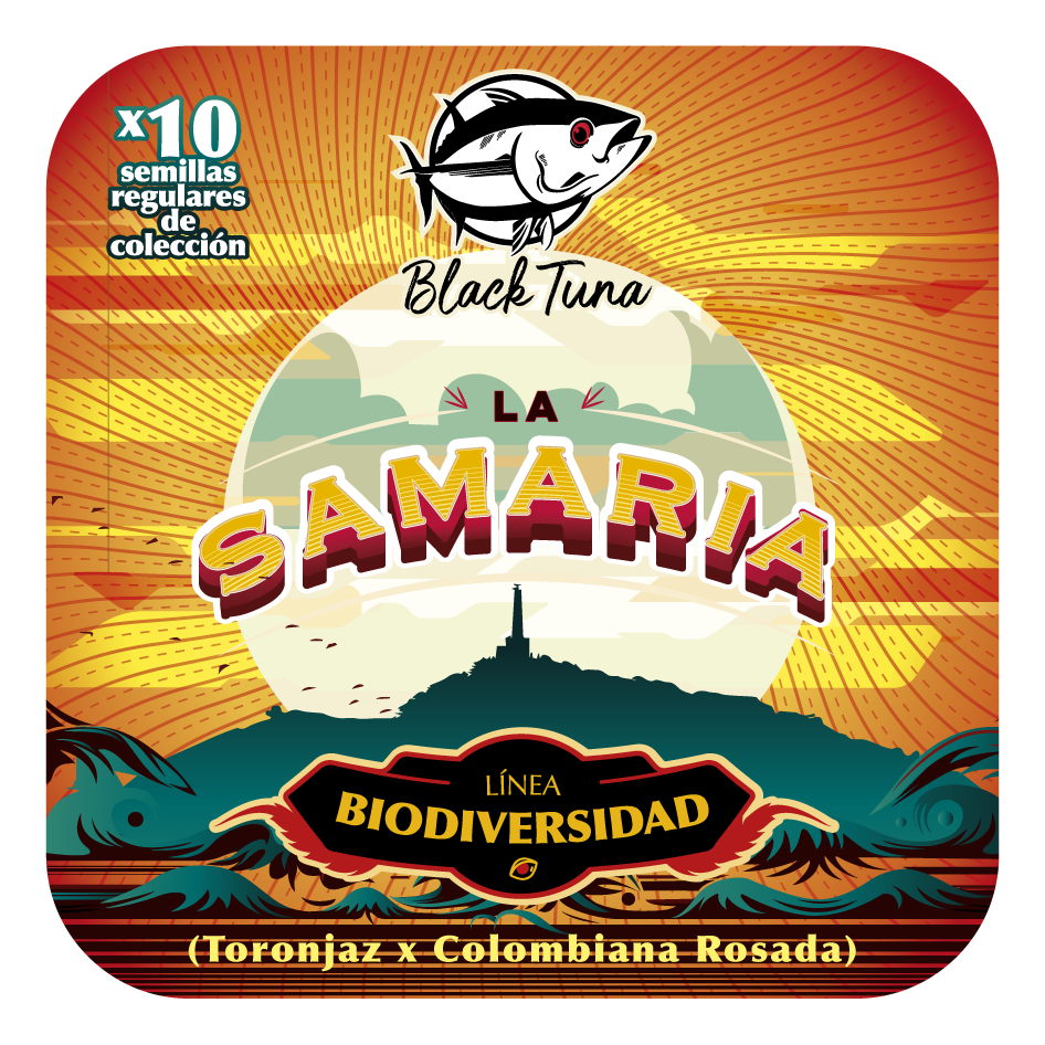 La Samaria (Toronjaz x Colombiana Rosada) 10-Pack Regular