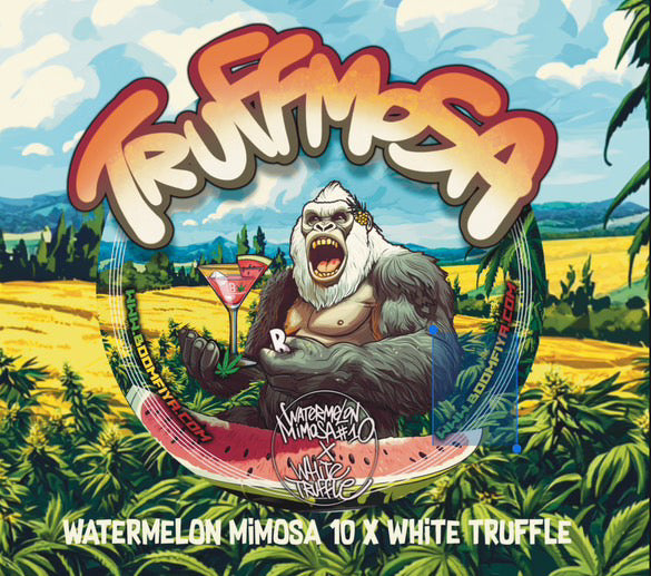Truffmosa R1 (Watermelon Mimosa #10 x White Truffle) 5-Pack*