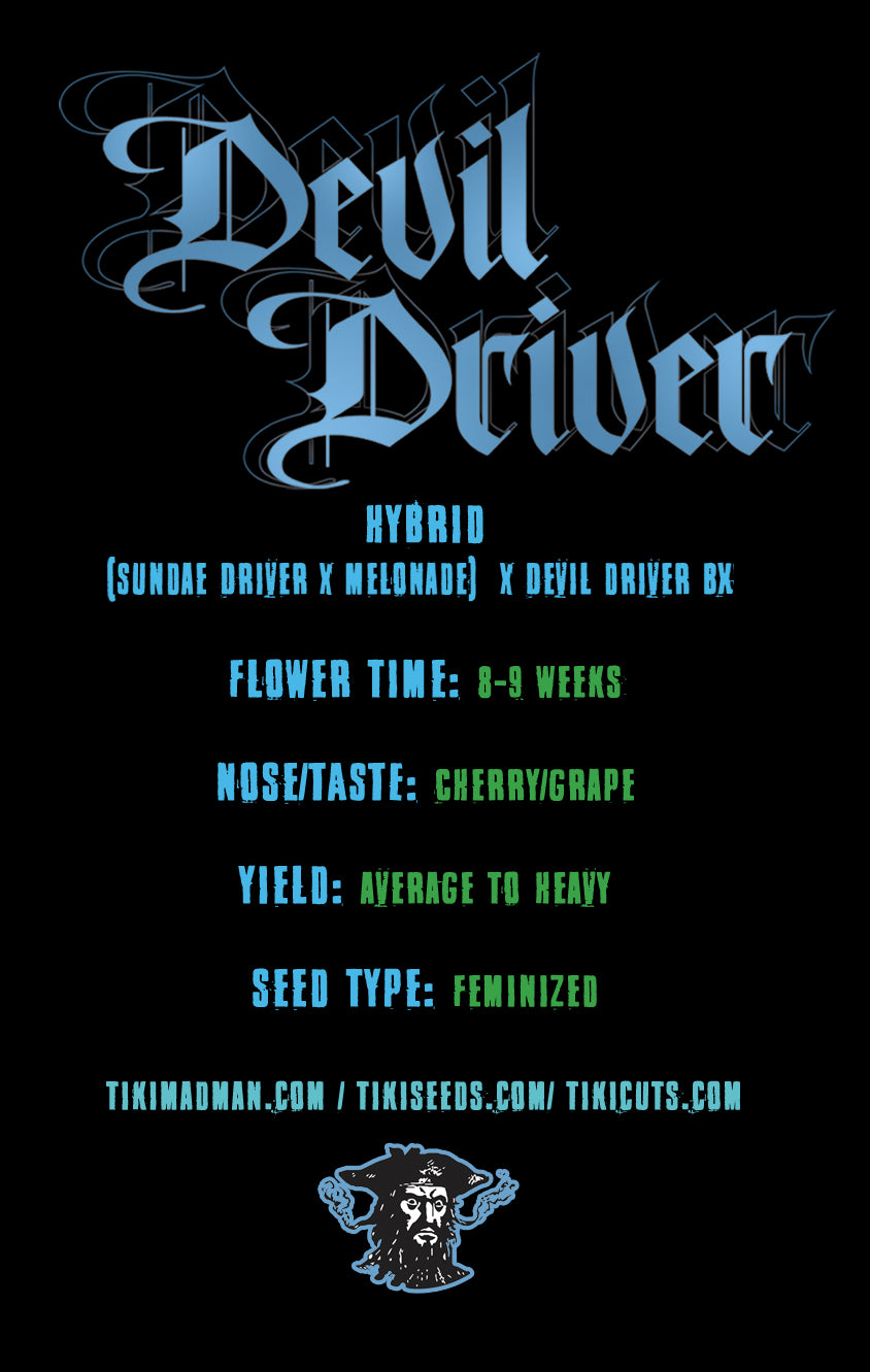 DEVIL DRIVER (Sundae Driver x Melonade) 6 seeds