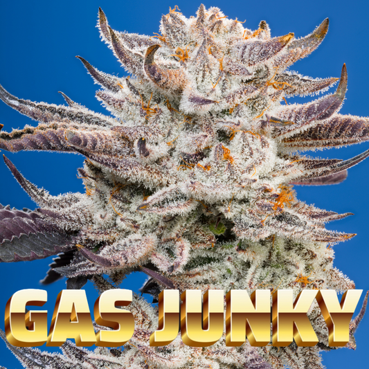 Gas Junky (Cap Junky x Gasonade)