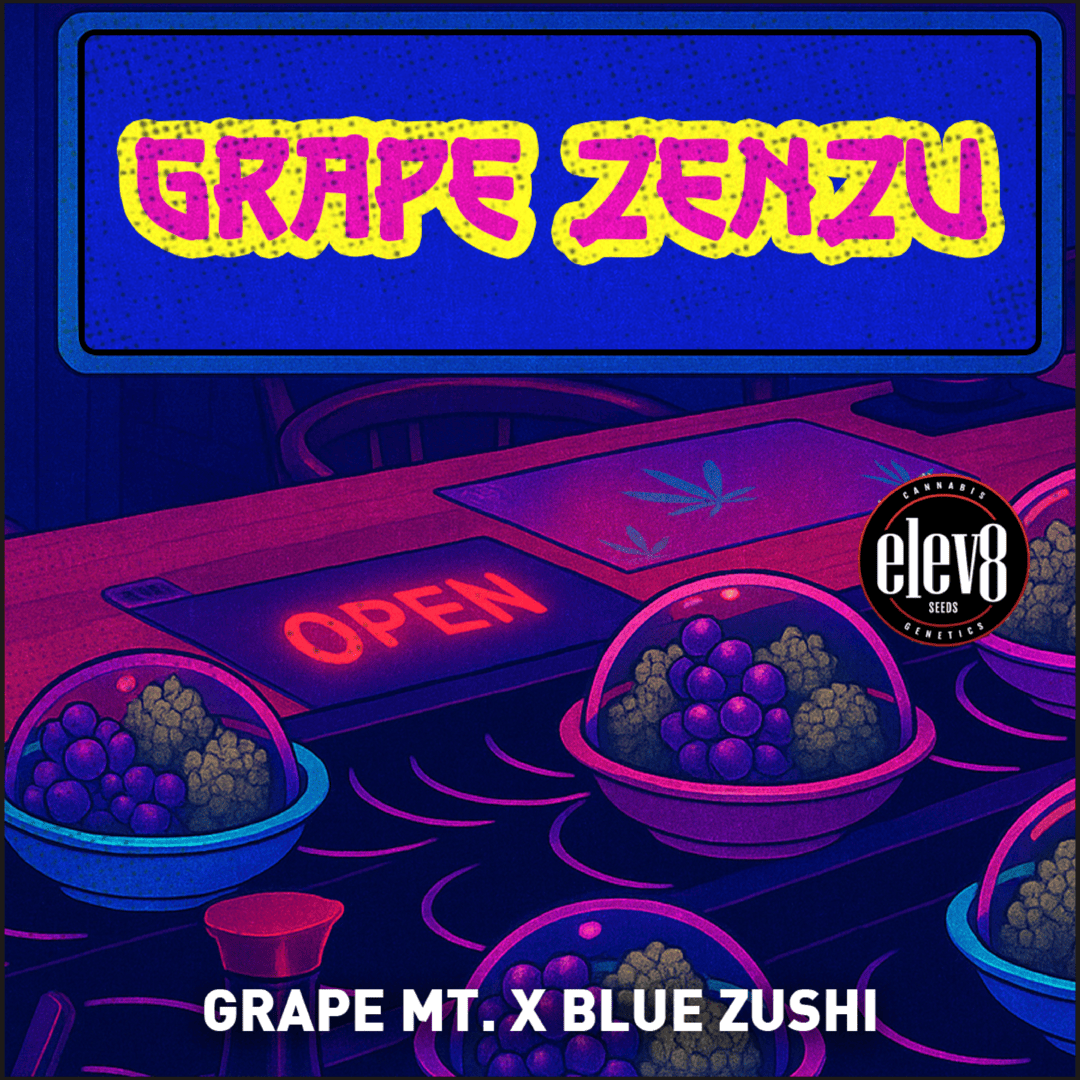 Grape Zenzu (Grape Mountain x Blue Zushi) 6-Pack