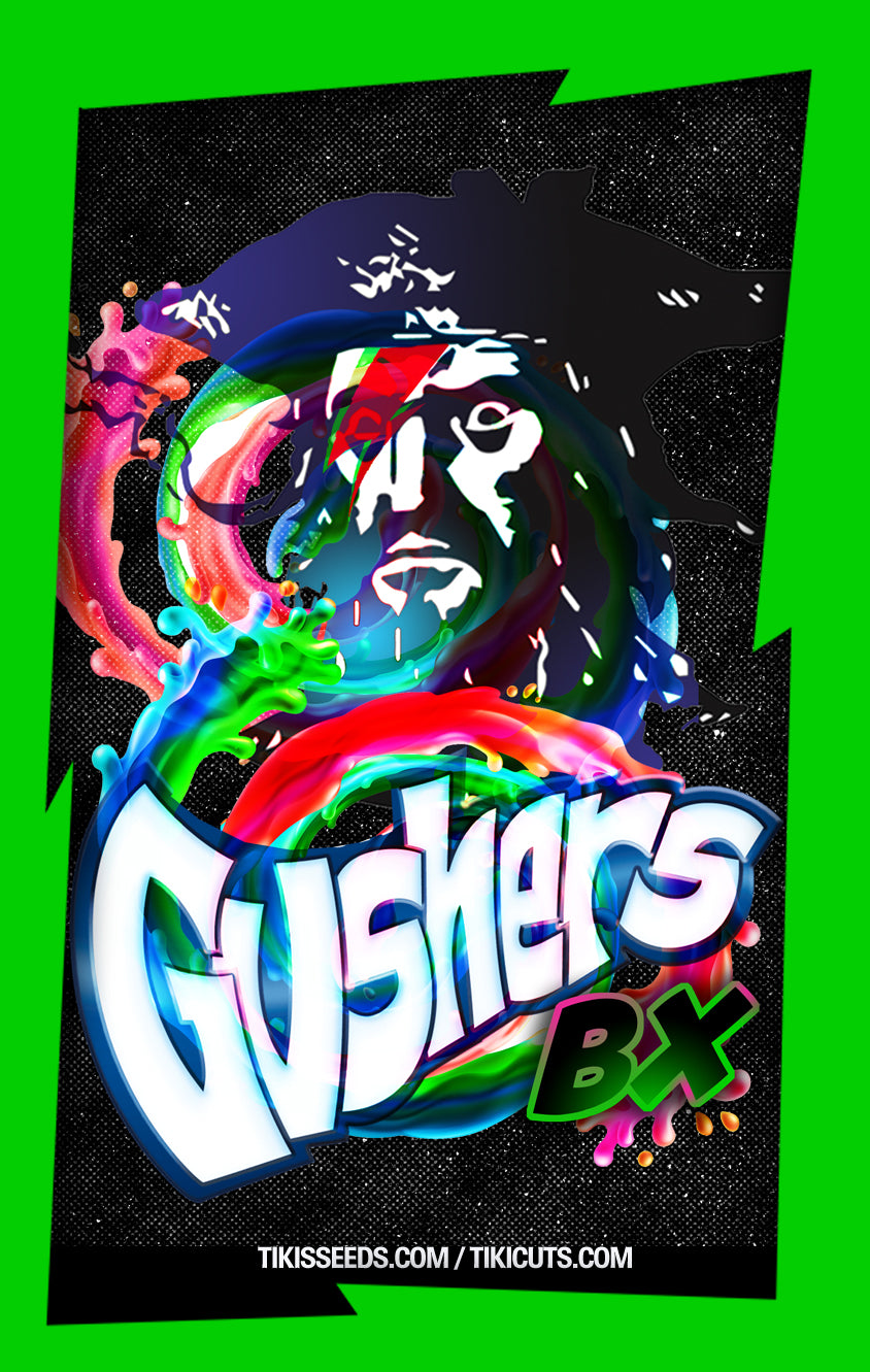 Gushers Bx F2 (Gushers x Yakuza) Regular 10 seeds