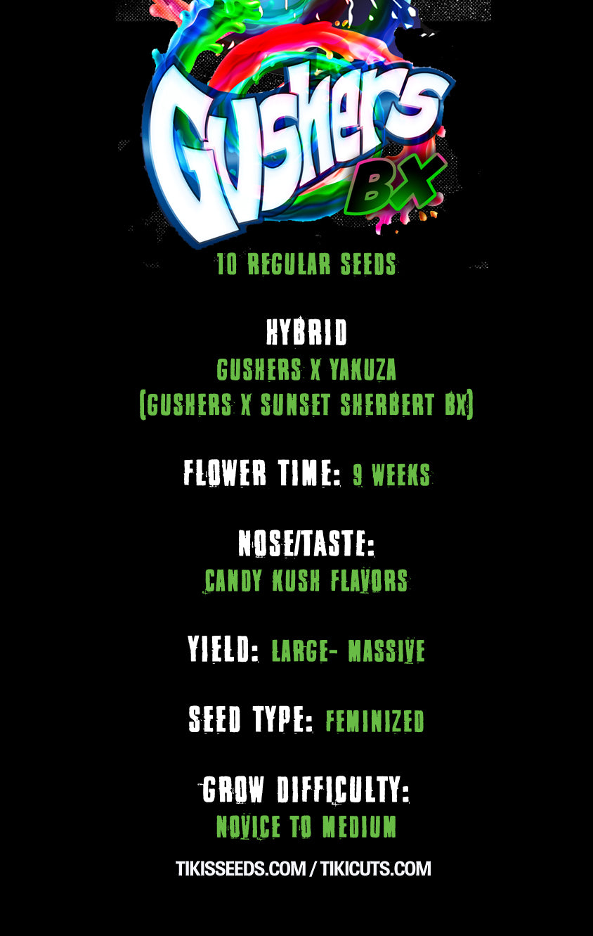 Gushers Bx F2 (Gushers x Yakuza) Regular 10 seeds