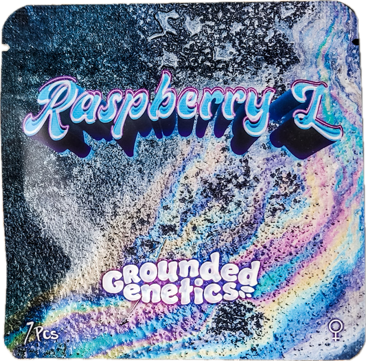 Raspberry Z (Raspberry Runtz x  Z Road) 7-Pack