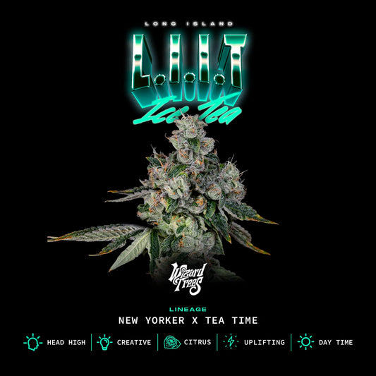 L.I.I.T (New Yorker x Tea Time) 3 seeds