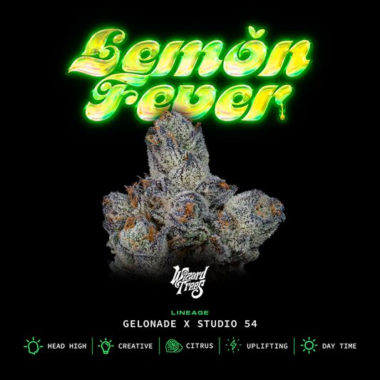 Lemon Fever (Gelonade x Studio 54) 3 seeds
