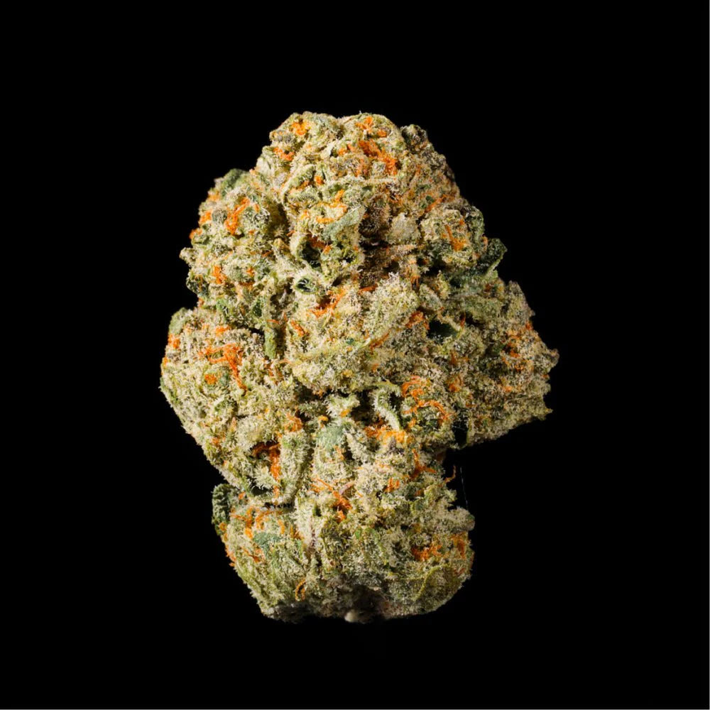 Bucket List (Apples & Bananas x Permanent Marker) 6 seeds