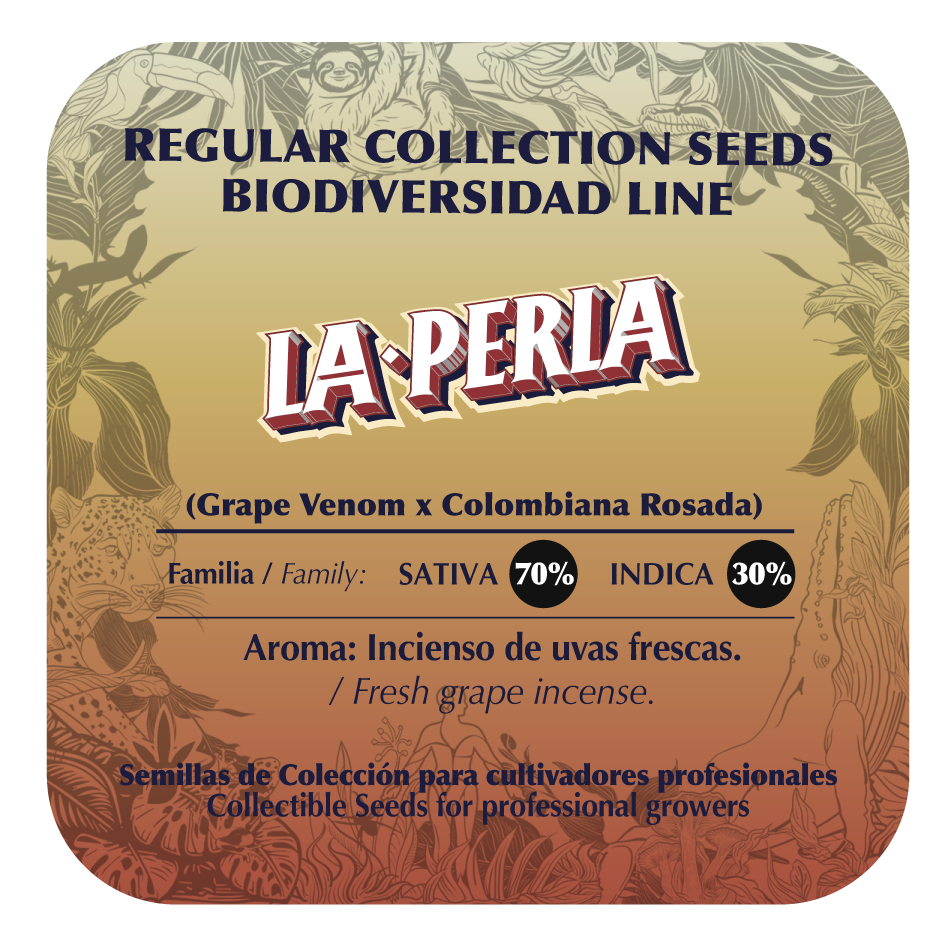 La Perla (Grape Venom x Col Rosada) 10-Pack Regular