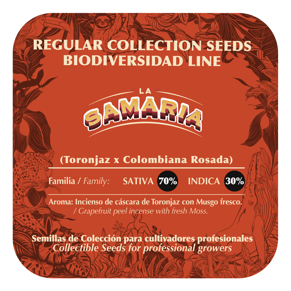 La Samaria (Toronjaz x Colombiana Rosada) 10-Pack Regular