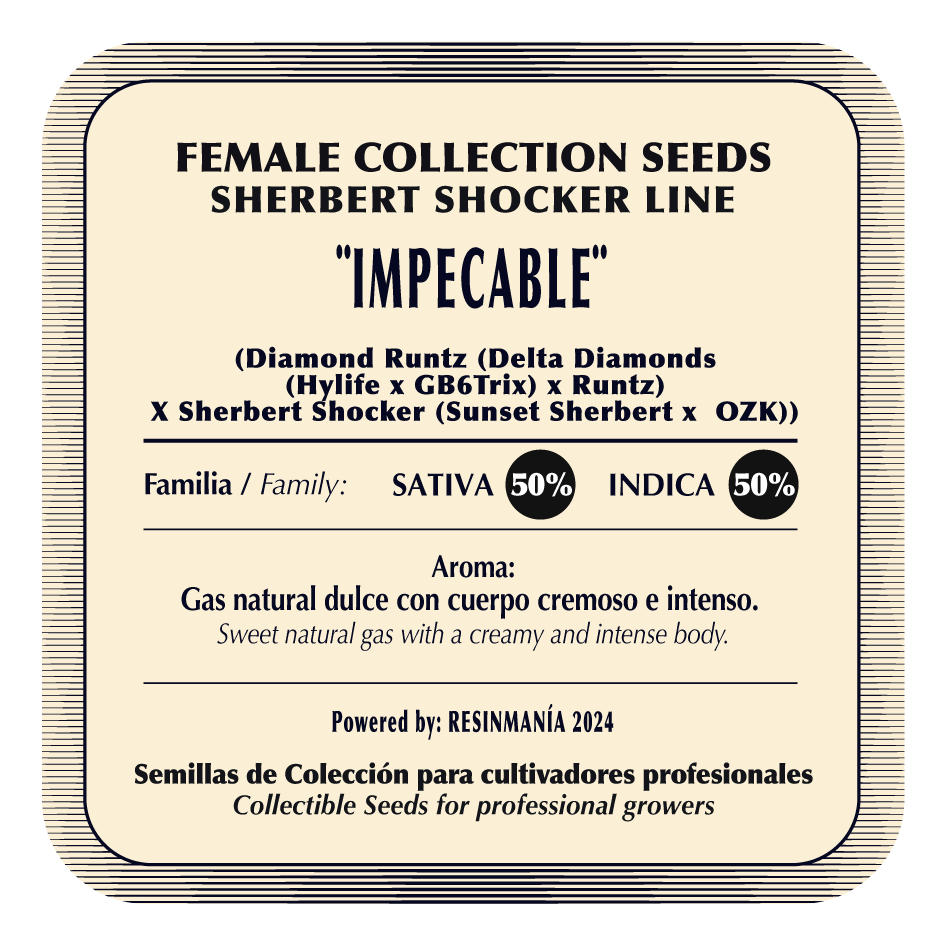 Impecable (Diamond Runtz x Sherbert Shocker) FEM 5-Pack