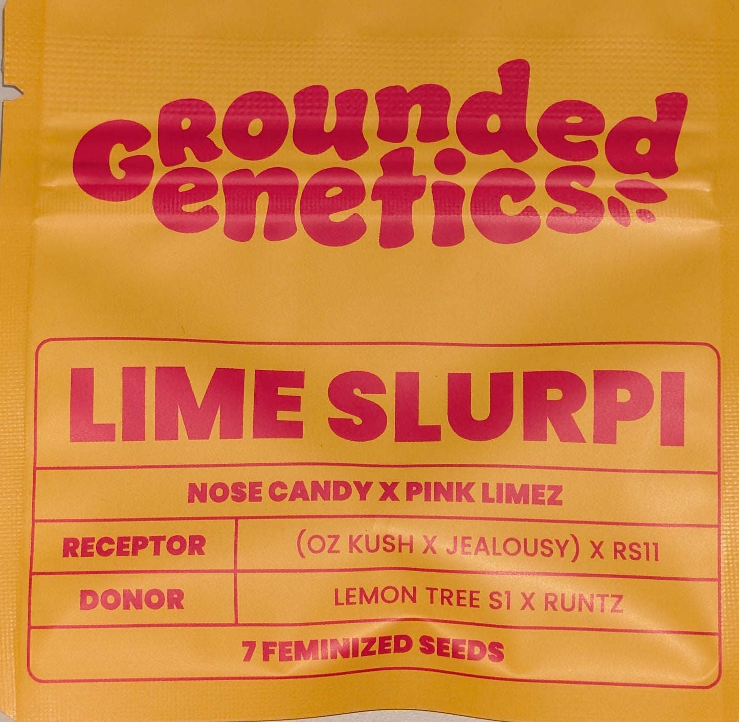 Lime Slurpi (Nose Candy x Pink Limez) 7 seeds + 4 Permanent Fresca