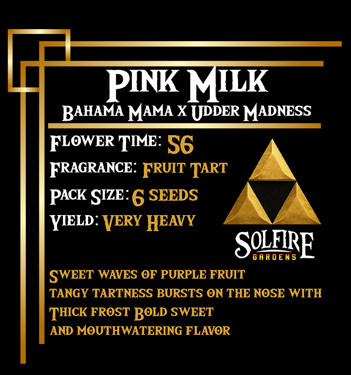 PINK MILK (BAHAMA MAMA X UDDER MADNESS) 3 seeds