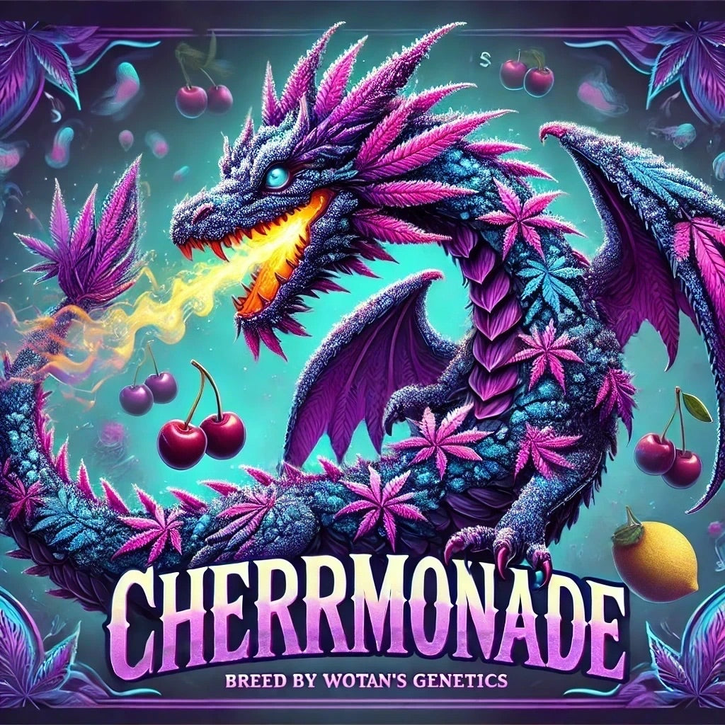 Cherrmonade (Reg) 12 seeds