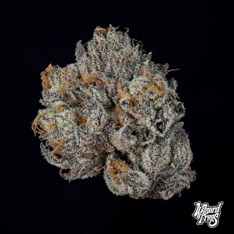 Propa Candy (Blue Nerdz x Tea Time) 3-Pack
