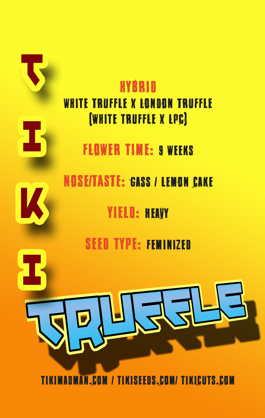 Tiki Truffle (White Truffle x London Truffle) Fem 6 seeds