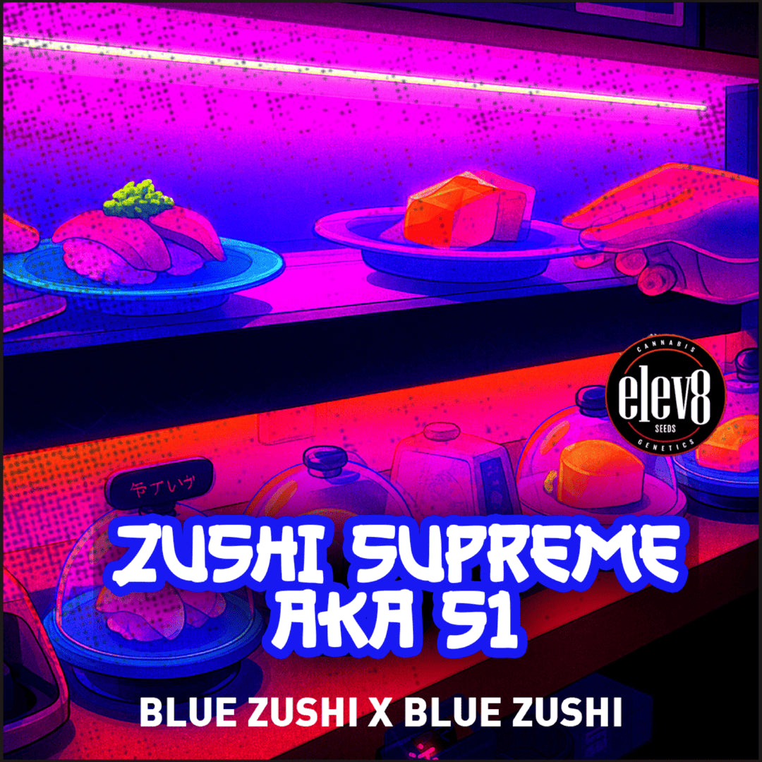 Zushi Supreme (Blue Zushi S1) 6-Pack