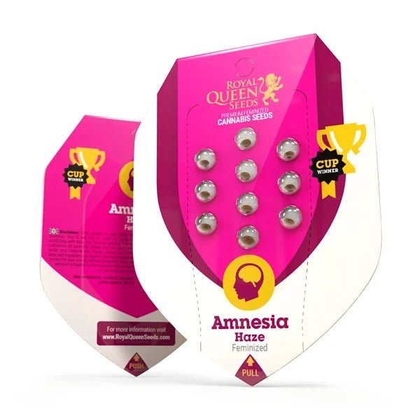 Amnesia Haze - Gas Station