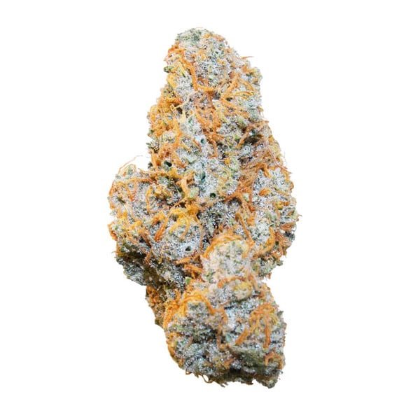Apple Fritter Auto - Gas Station