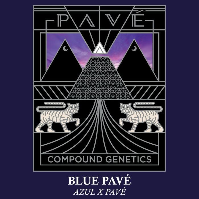 Blue Pavé 7+1 - Gas Station