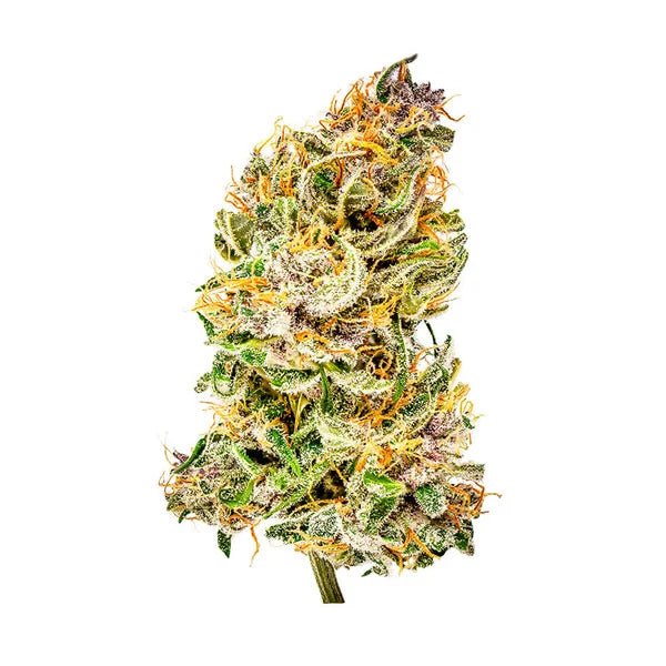 Bubble Kush Auto - Gas Station