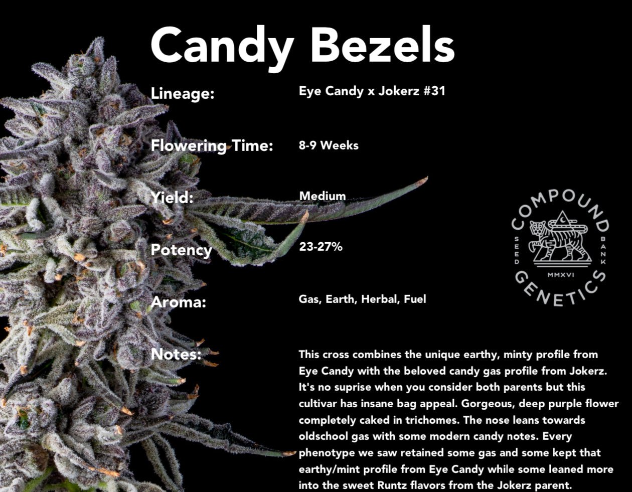 Candy Bezels (Eye Candy x Jokerz #31) 7 - pack - Gas Station