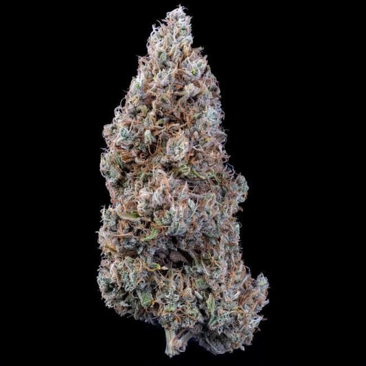Crème Bubbly ((CREME DE LA CHEM X HUBBABUBBASMELLOSCOPE)) 3-Pack