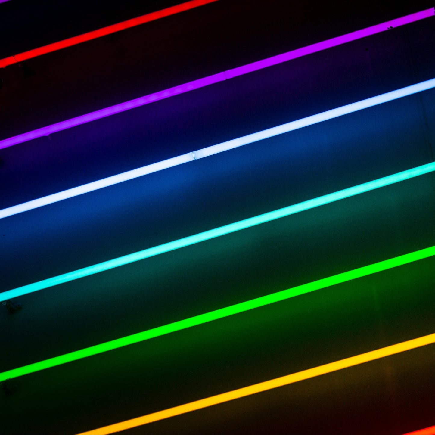 Rainbow Sherbet #11 (Fem) 6 seeds