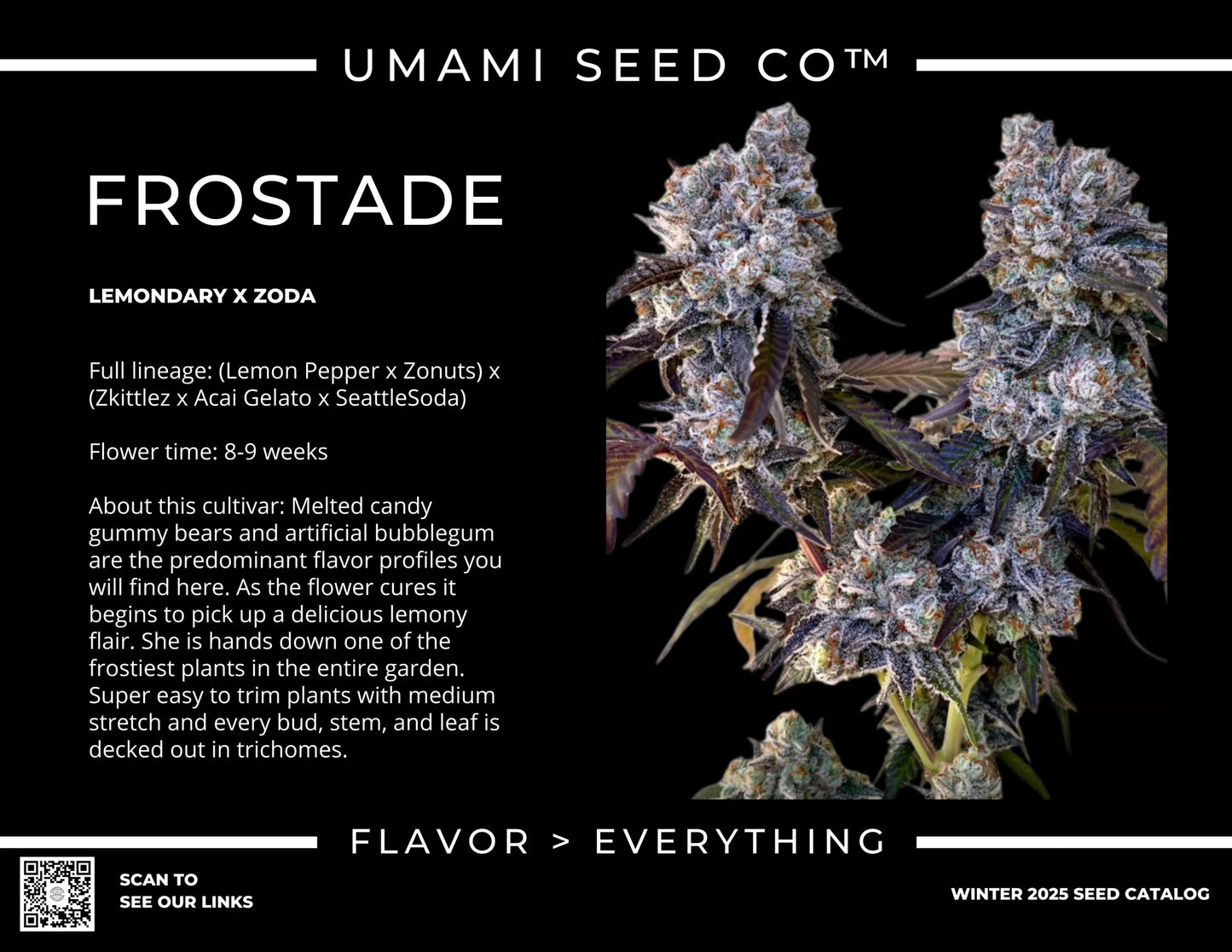 Frostade (Lemondary x Zoda) 6 - Pack + 6 Freebies Sour Diesel x Zoda - Gas Station