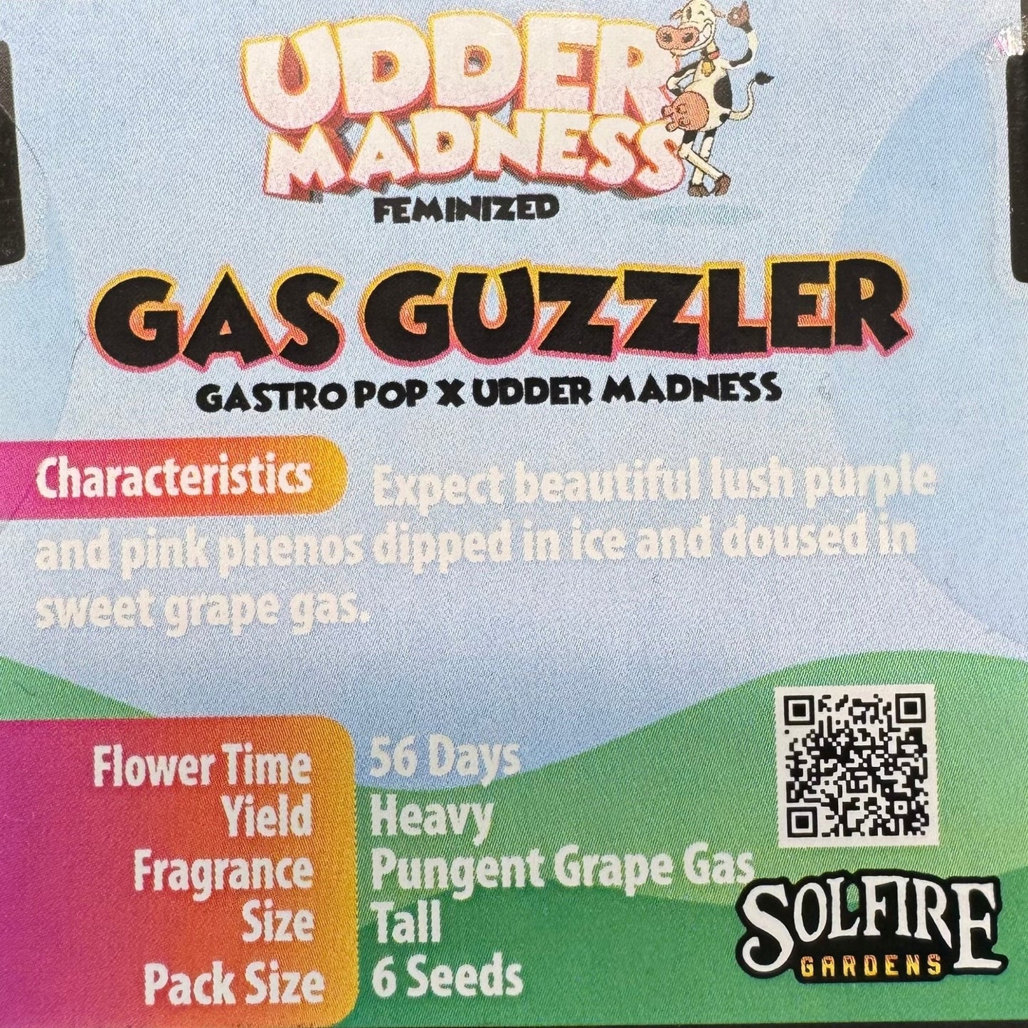 Gas Guzzler 6 - Pack (Gastro Pop x Udder Madness) + 3x Section A (Apple Fritter x Hood Candyz) Fems - Gas Station