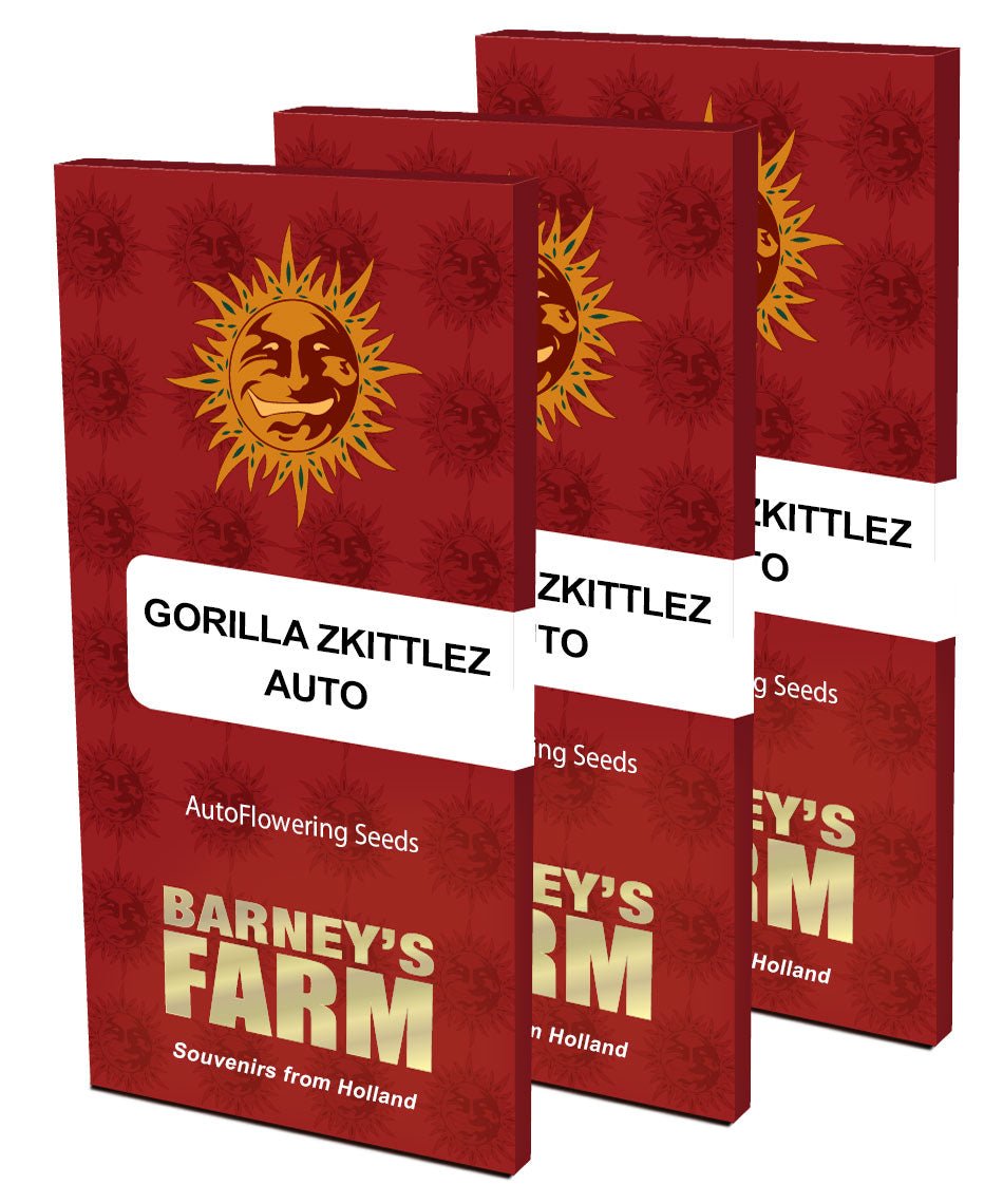 Gorilla Zkittlez Auto - Gas Station