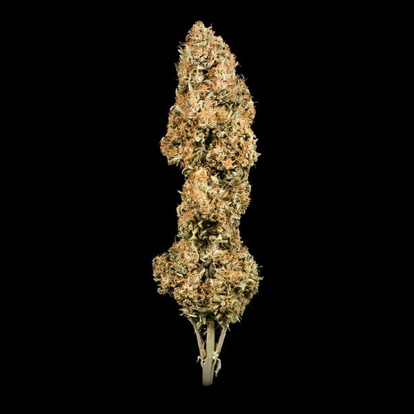 Green Gelato Auto - Gas Station