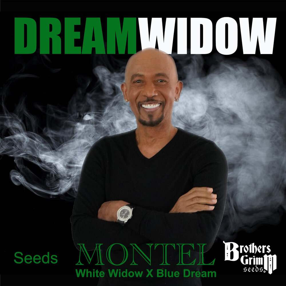 Montel’s Dream Widow (White Widow x Blue Dream) 9 seeds
