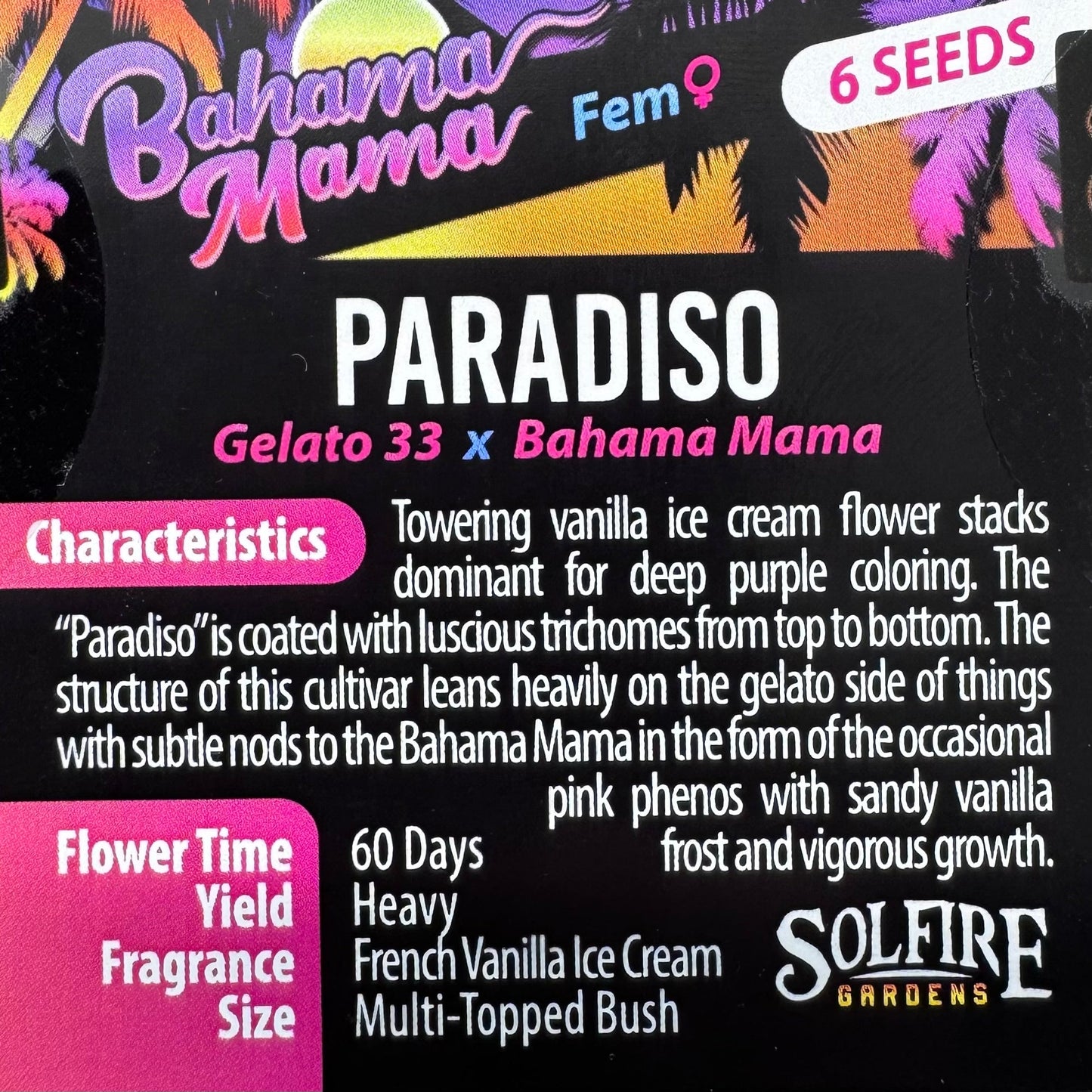 Paradiso 6 - Pack (Gelato 33 x Bahama Mama)+ 3x Section A (Apple Fritter x Hood Candyz) Fems - Gas Station