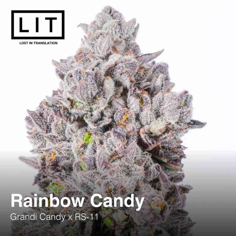 Rainbow Candy (Grandi Candy x RS11) 6 - Pack - Gas Station