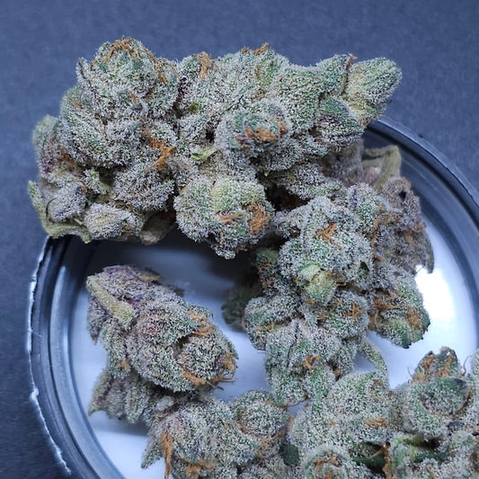 SUGAR TREE (LEMON TREE X SUGAR CANE) 6 fem seeds