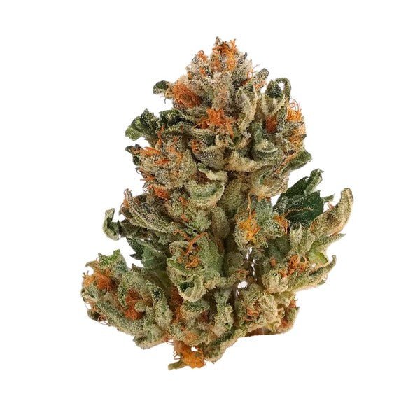 Royal Domina - Gas Station