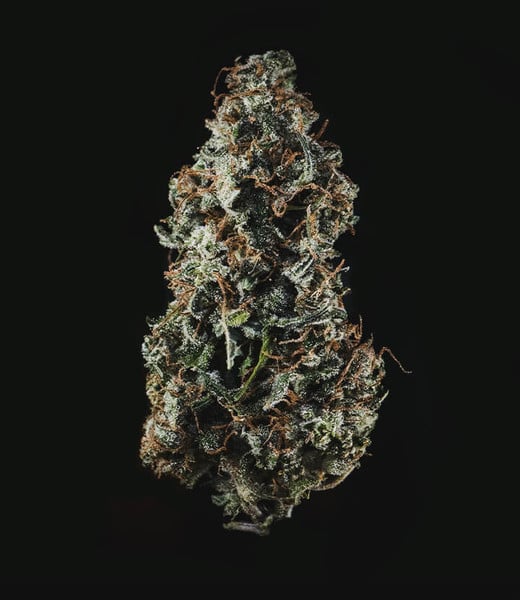 Royal Haze Auto - Gas Station