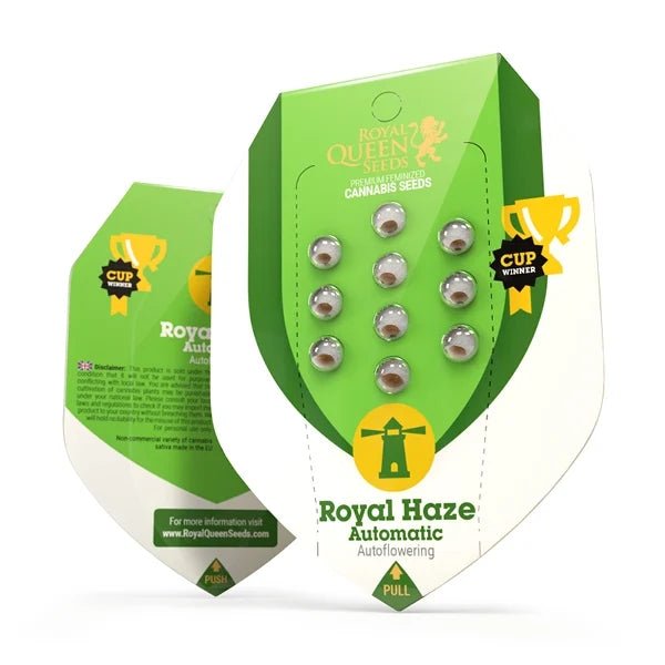 Royal Haze Auto - Gas Station