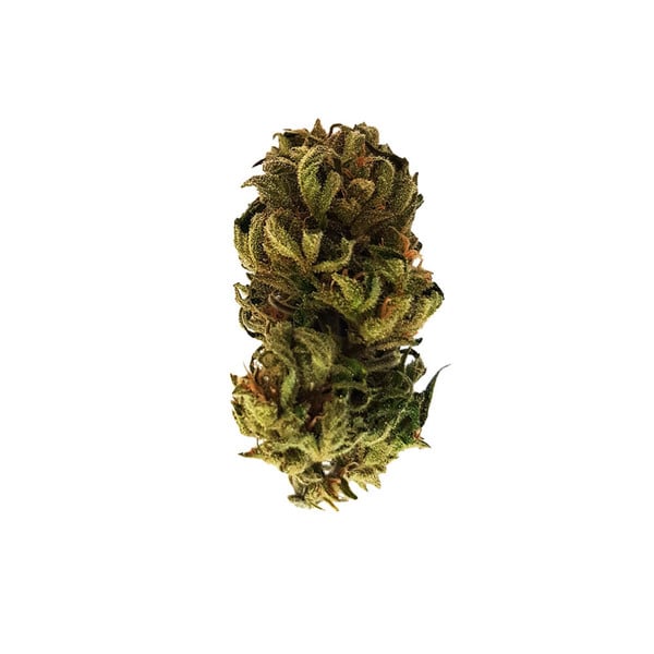 Royal Kush Auto - Gas Station