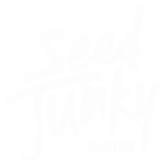 *Limited* Wedding Cake F2 x Kush Mints #11 10+ Regular Seeds