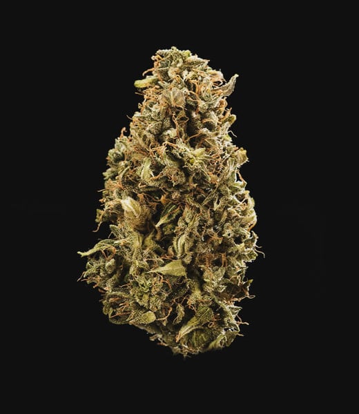 Sherbet Queen Auto - Gas Station