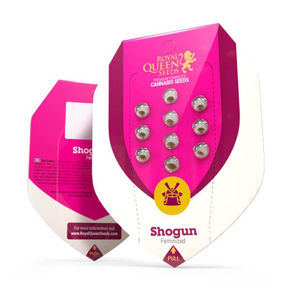 Shogun - Gas Station