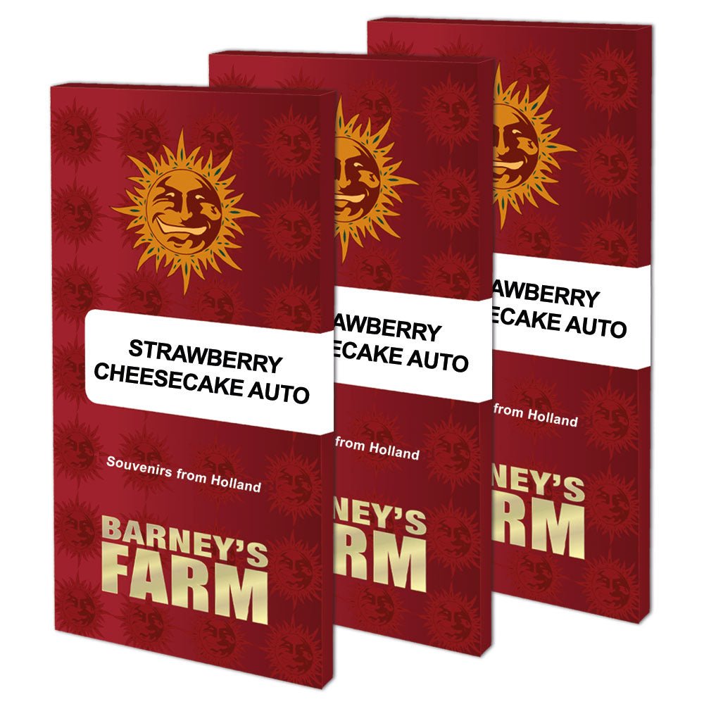 Strawberry Cheesecake Auto - Gas Station