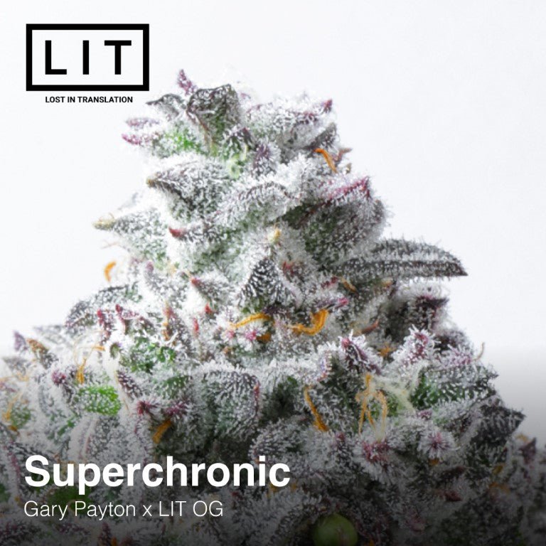 Superchronic (Gary Payton x LIT OG) 6 - Pack - Gas Station